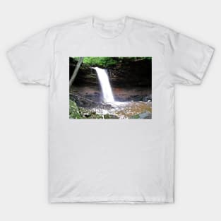 Black Fork Falls T-Shirt